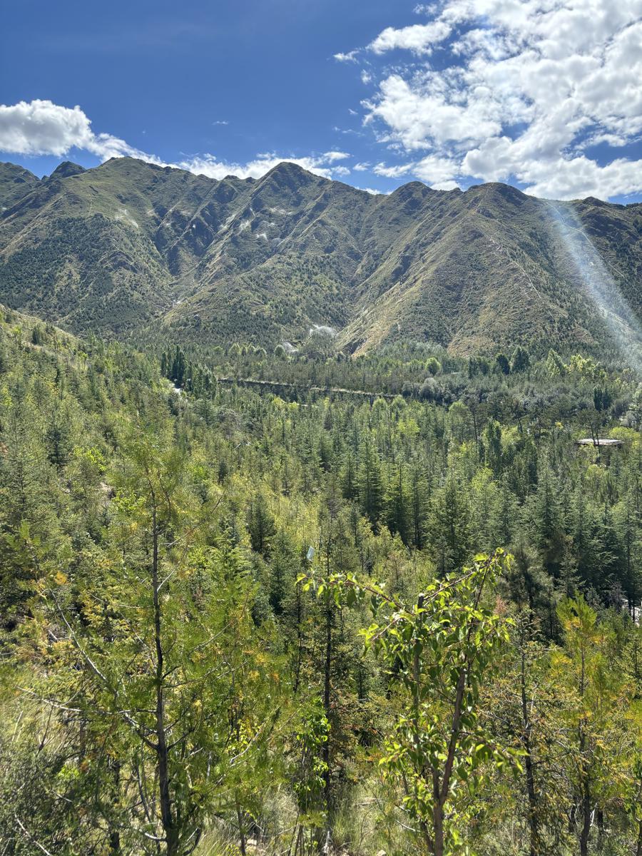 1725332839336068361.jpeg 5.jpeg