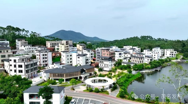 1724902331673034717.jpg 茂名1.jpg