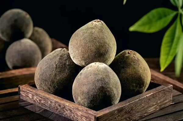 1726815131739017561.png 茂名3.png