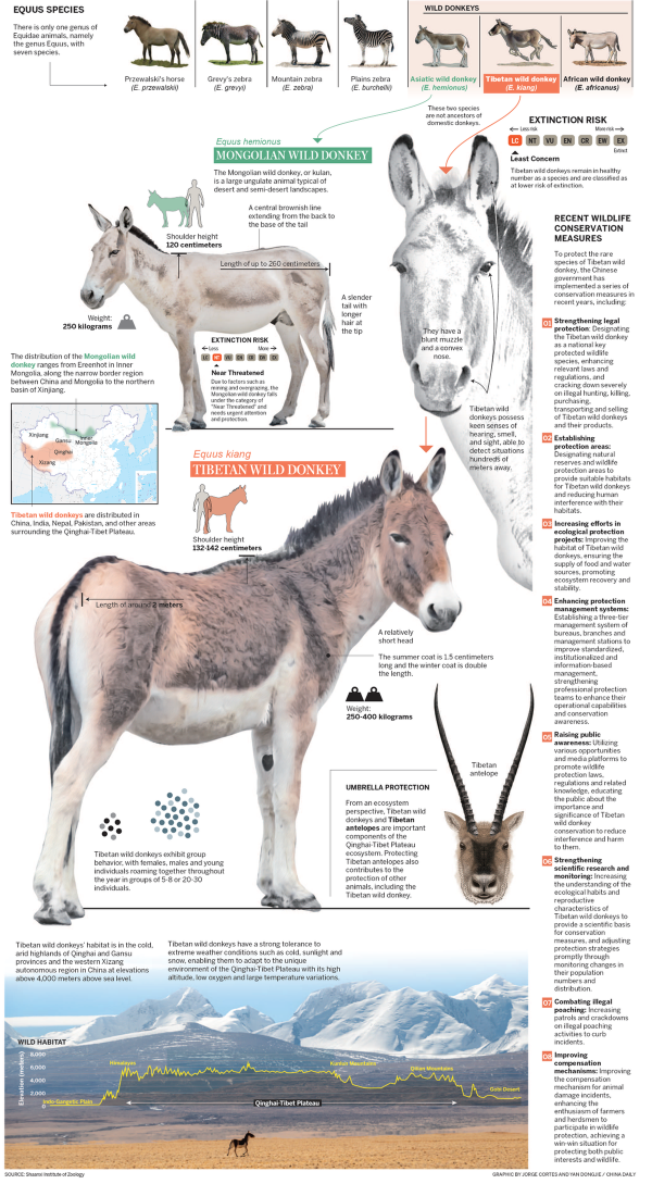 1727259413229076690.png 66f36173a310f1268d81b9f4.png