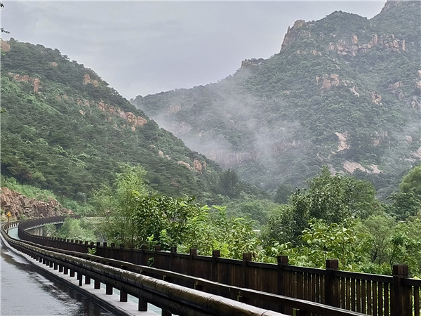 1724920505810046392.jpg 29-TA-2_副本.jpg