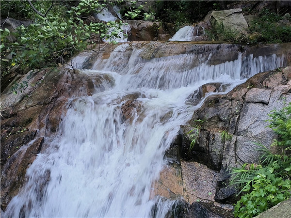 1724920538942076845.jpg 29-TA-1_副本.jpg