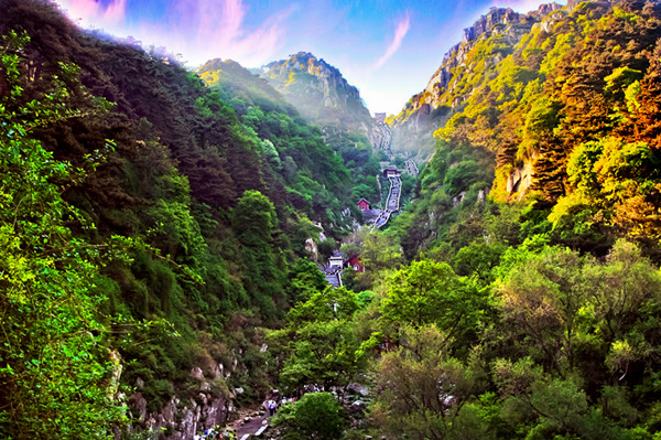 1727252238031067059.jpg 1613577725867767036_副本.jpg