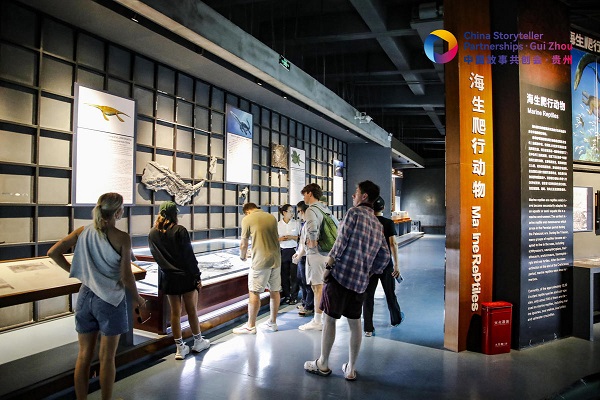 1727339752970089072.jpeg 66f4d139a310f1268d81d53b.jpeg