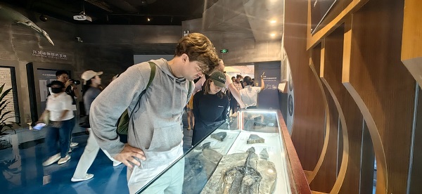 1727339736912079215.jpeg 66f4d139a310f1268d81d53d.jpeg