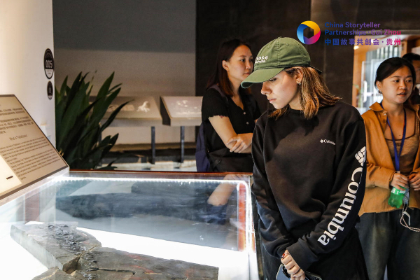 1727698624370025660.jpg 66f927c3a310f1268d820d83.jpg