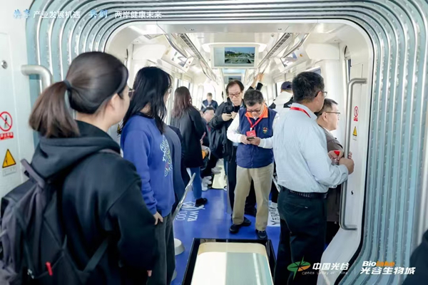 1730266078635025594.jpg 武汉台湾2_副本.jpg