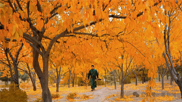 1729498117473097080.jpg 图片17.jpg