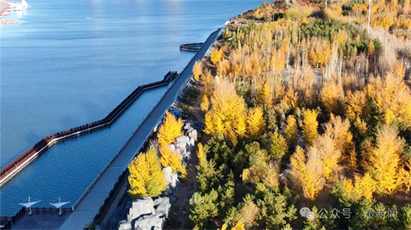 1729498149365083667.jpg 图片18.jpg