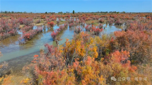 1729498190575056508.jpg 图片19.jpg