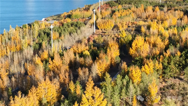 1729498217451069666.jpg 图片20.jpg