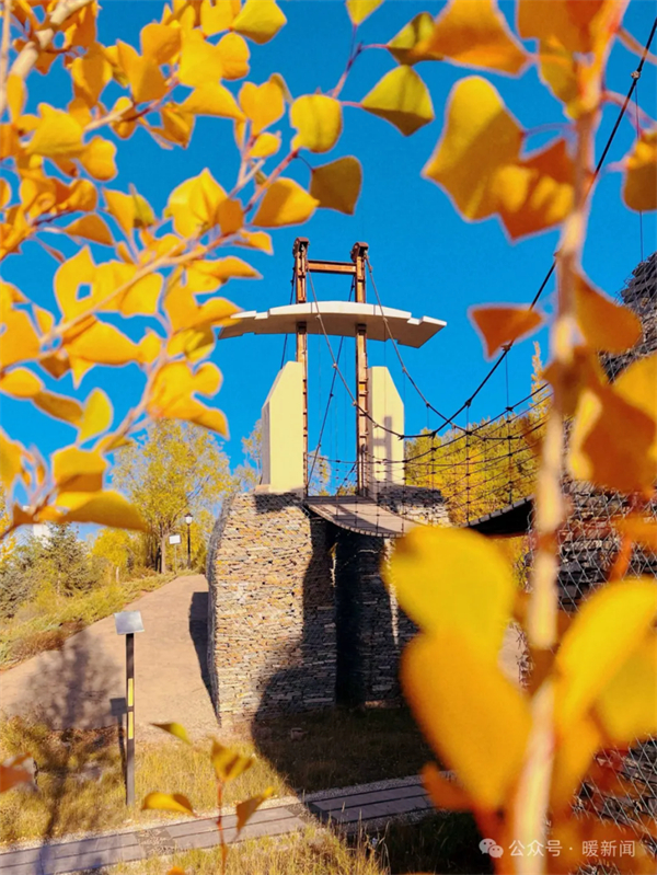 1729146716895002137.jpg 图片11.jpg