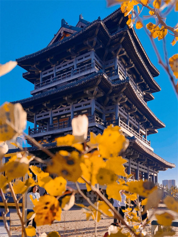 1729146740827030565.jpg 图片12.jpg