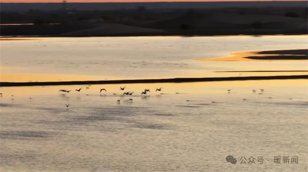 1730359899201015471.jpg 图片60.jpg