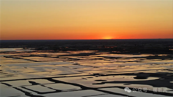 1730359931315096531.jpg 图片61.jpg