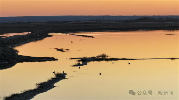 1730359962973095622.jpg 图片62.jpg