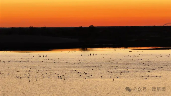 1730359988731008016.jpg 图片63.jpg