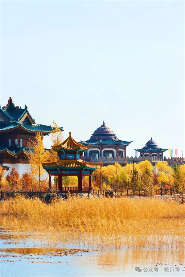 1730798845561092071.jpg 图片81.jpg