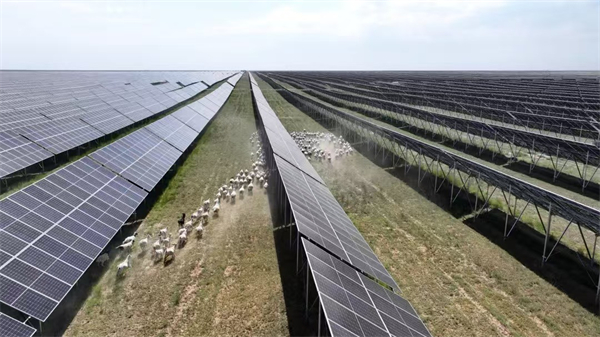 1730872286952022729.jpg 图片85.jpg