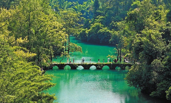 1730432140973074646.jpeg 1 - 副本.jpeg