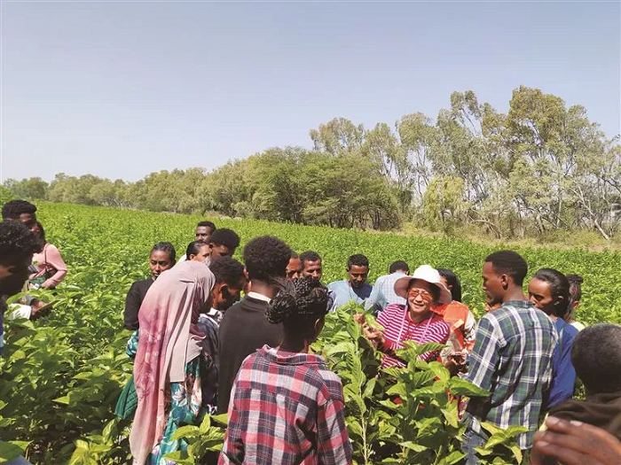 1727256756043035778.png 图片5.png