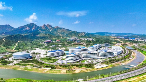 1729850715556064969.jpg 黄渤海网稿.jpg