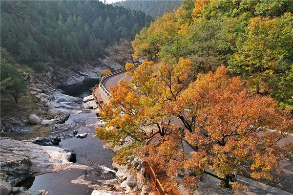 1730793464354033517.jpg 01-TA-1.jpg