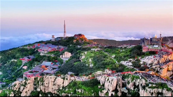 1728543439869027083.jpg 09-TA-6_副本.jpg