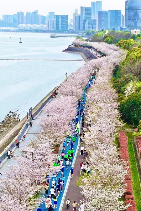 1727166499947017206.jpg H.jpg