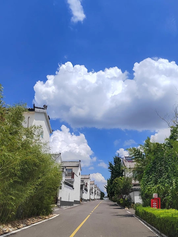 1731662299314024727.jpeg 1731421509rk0viz2cu5oimage.jpeg