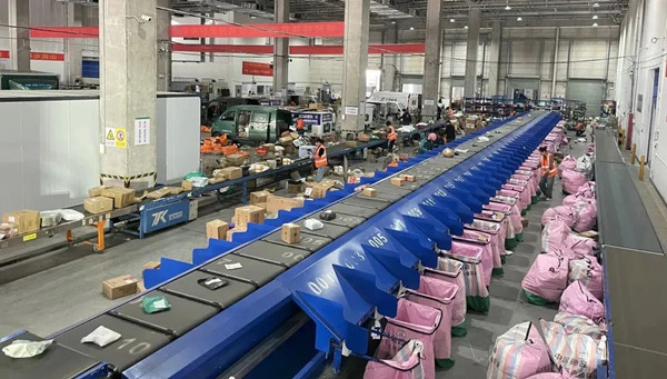 1731661525740033742.jpg 2_副本.jpg