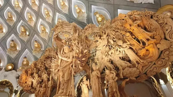 1724665168157075435.jpg P2 (1).jpg