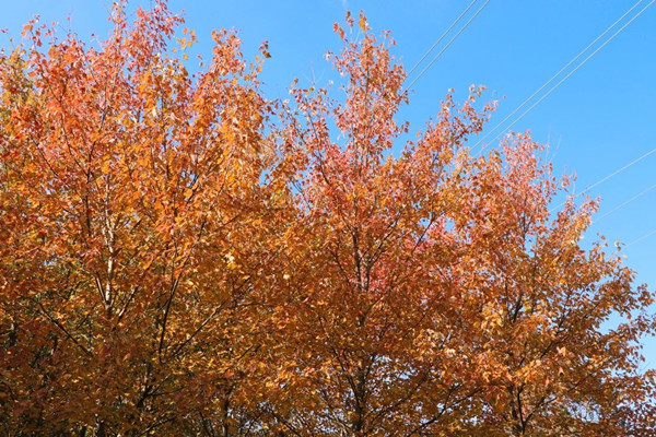 1733389132327021213.jpg 4-2_副本.jpg