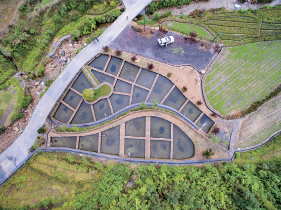 1706609228783022895.png 鱼菜共生清水鱼养殖系统.png