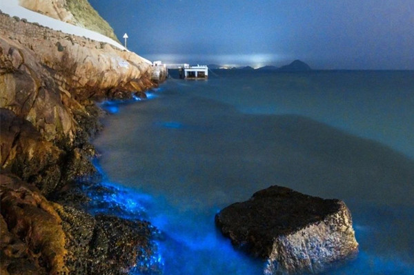 1733304915670025728.jpg 2-2_副本.jpg