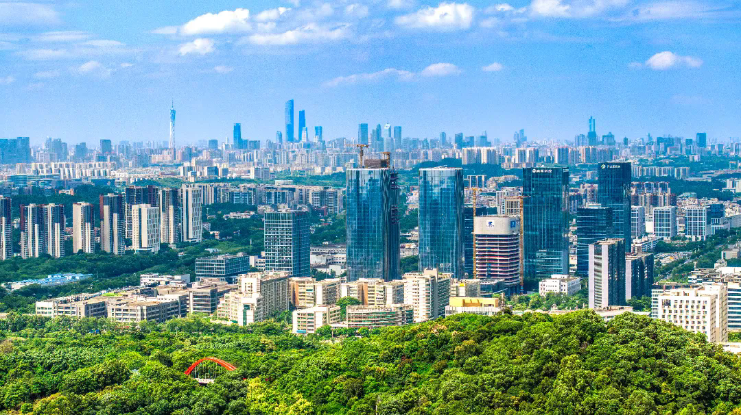 1735202880460044242.png 640_wx_fmt=png&from=appmsg&tp=webp&wxfrom=5&wx_lazy=1&wx_co=1.webp.png