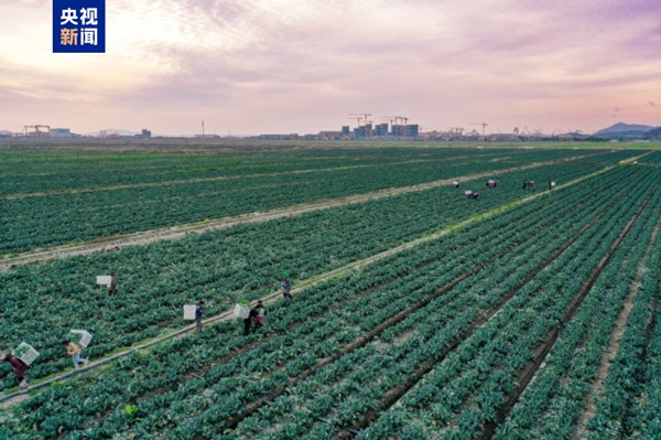 1733821106331004121.jpg 1_副本.jpg