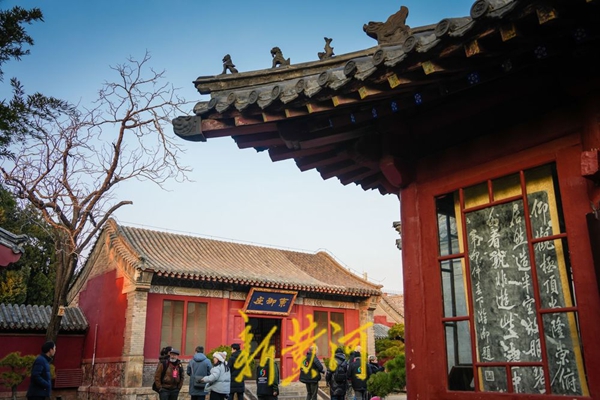 1734341178850070639.jpg 21fd137a00dc286d7597ab662ea670c9.jpg