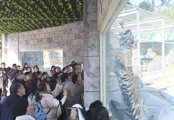 1738913698071093856.jpg 光谷春节3_副本.jpg