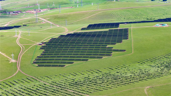 1736155606248093856.jpg 图片11.jpg