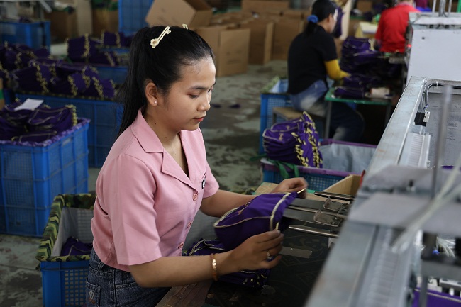 1740116763532004323.jpg 在西港特区内工作的达尼.jpg