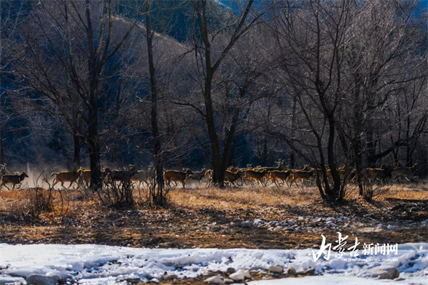 1740473018373029997.jpg 图片33.jpg