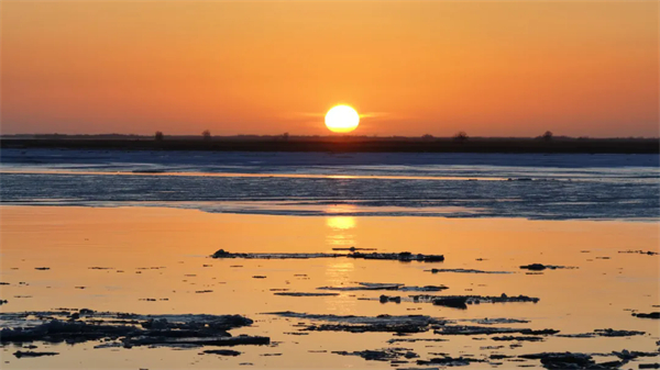 1740730109480026145.jpg 图片42.jpg