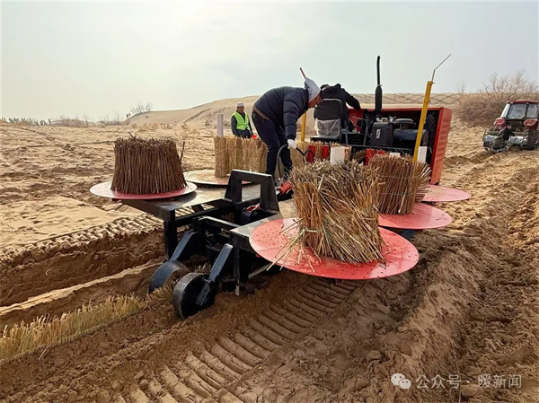 1741164989967027770.jpg 图片2.jpg