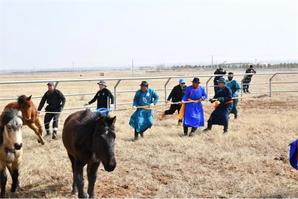 1741943883843010749.jpg 图片8.jpg