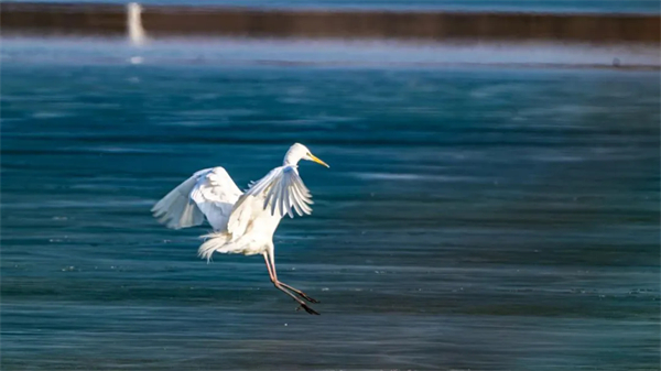 1742372394972050389.jpg 图片17.jpg