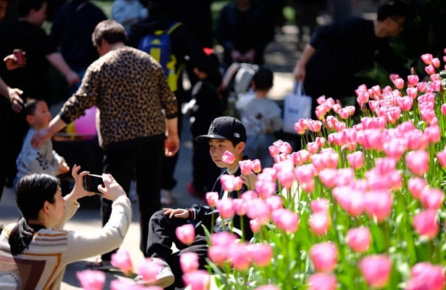 1742876819397010172.jpg 微信截图_20250325090720.jpg