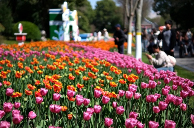 1742876847447016968.jpg 微信截图_20250325090650.jpg