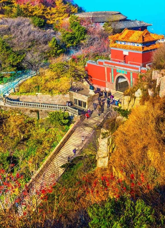 1742263931922047502.png 12-泰安-好客山东之声-2.webp_副本.png