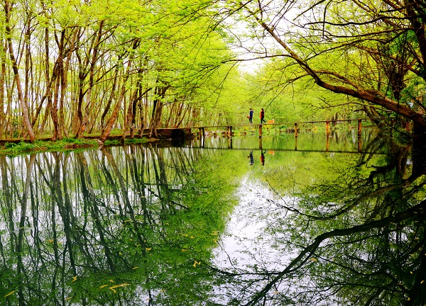 1743144523798054977.jpg 1.jpg